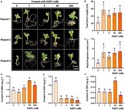 Identification of osmotic stress resistance mediated by MdKAI2 in apple